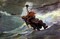 The Life Line Poster Print by Winslow Homer - Item # VARPDX373282